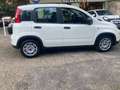 Fiat Panda III 2021 1.0 firefly hybrid s&s 70cv Weiß - thumbnail 7