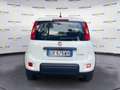Fiat Panda III 2021 1.0 firefly hybrid s&s 70cv Weiß - thumbnail 5