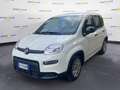Fiat Panda III 2021 1.0 firefly hybrid s&s 70cv Weiß - thumbnail 2
