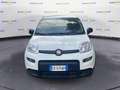 Fiat Panda III 2021 1.0 firefly hybrid s&s 70cv Weiß - thumbnail 1