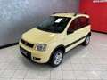 Fiat Panda 1.3 mjt 16v 4x4 - IDEALE NEOPATENTATI Geel - thumbnail 15