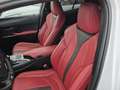Lexus UX 250h AWD F-SPORT LINE +LEDER +Mark Levinson +360°Cam Blanc - thumbnail 15