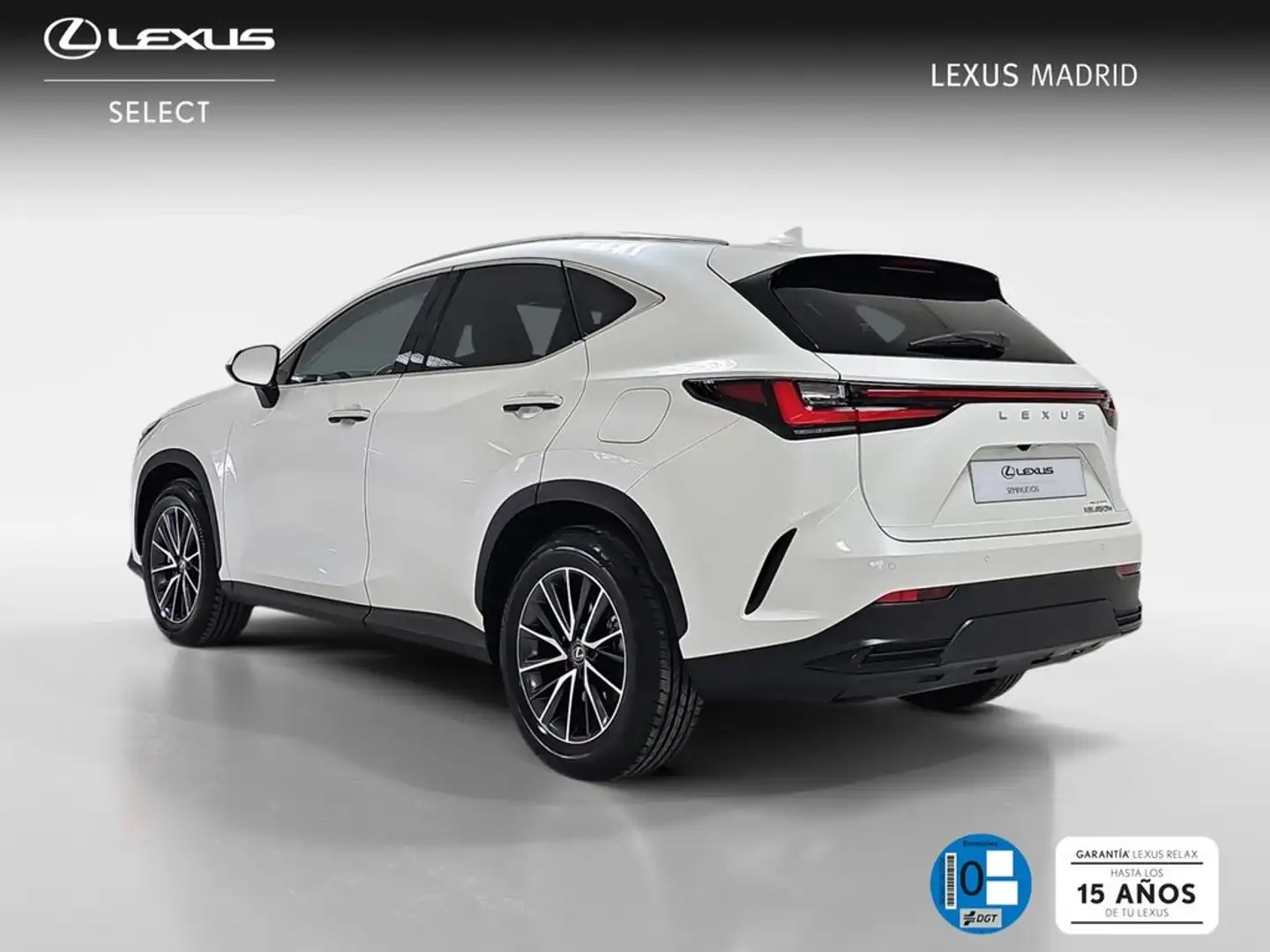 Lexus NX 450h+ Premium+ 4WD Blanc - 2