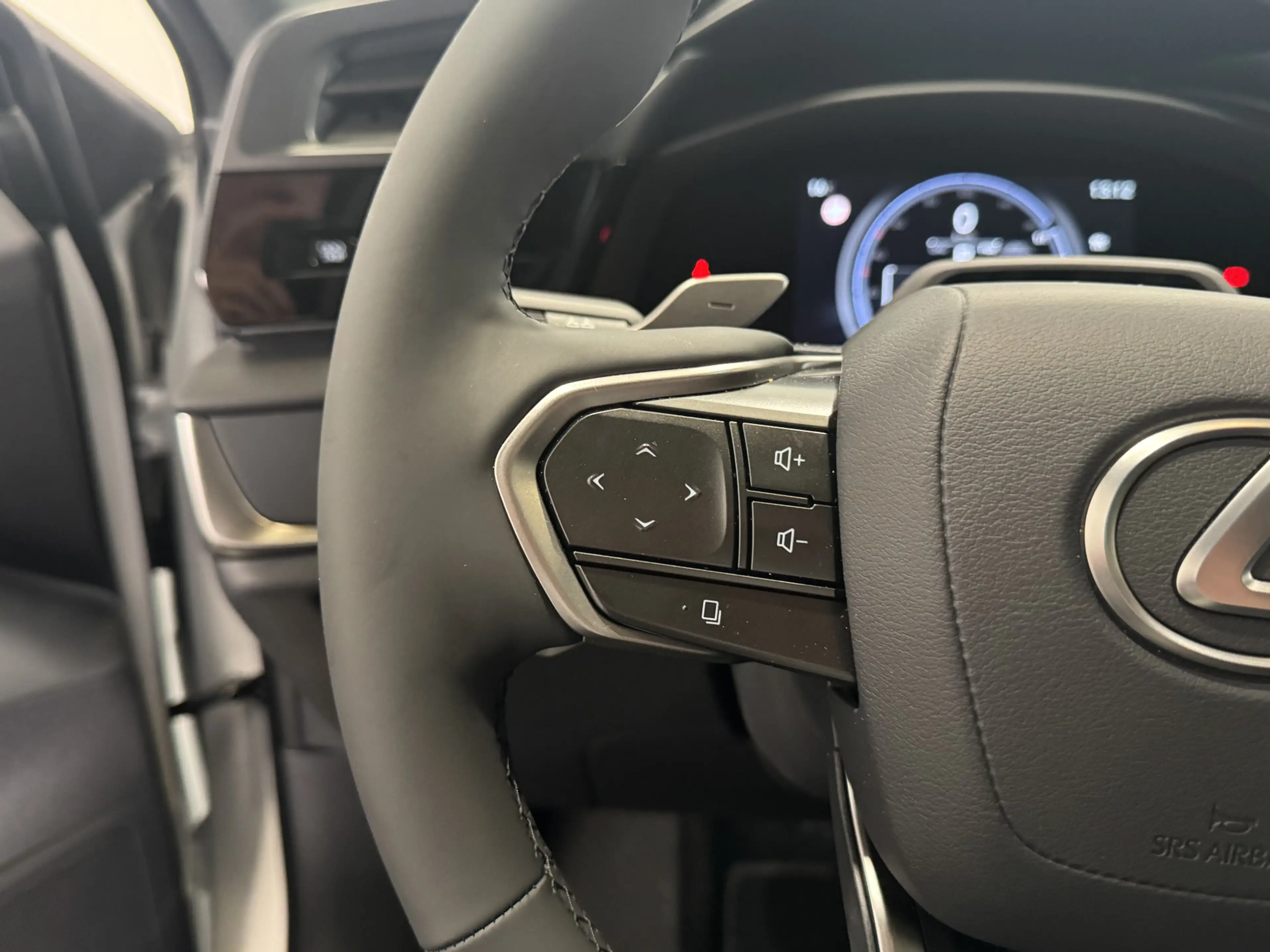 Lexus RZ 350e Luxury Line 77 kWh Premium Pack | Panoramadak — photo 14