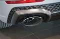Audi RS Q8 performance | B&O Advanced | Carbon | 305 Grau - thumbnail 15