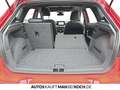 SEAT Ibiza 1.0TSI DSG FR NAVI LED KAMERA PDC v+h PANO Rot - thumbnail 16