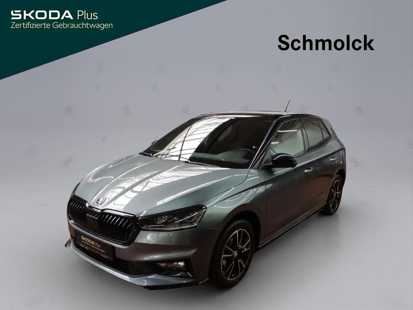 Skoda Fabia Monte Carlo 1.0 TSI DSG ACC NAVI LED RFK Schwarz - 1