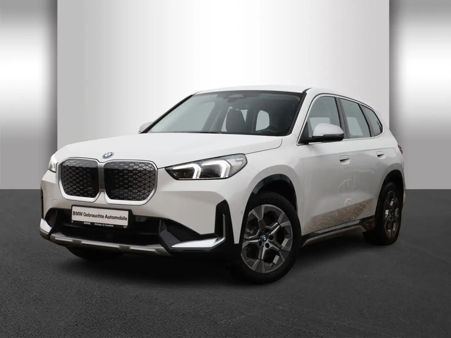 BMW iX1 xDrive30 Navi Bluetooth PDC Klima Weiß - 2