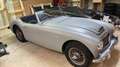 Austin-Healey 3000 Mark 2 Grau - thumbnail 1