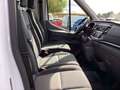 Ford Transit 350 L3H2 Lkw VA Basis AHK Seitenwandverkl. hoch Weiß - thumbnail 14