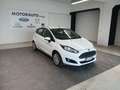 Ford Fiesta Fiesta 1.5 TDCi 75 CV 5p. Bianco - thumbnail 1