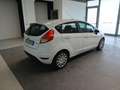 Ford Fiesta Fiesta 1.5 TDCi 75 CV 5p. Bianco - thumbnail 6