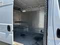 Fiat Ducato 35 2.2 Mjt 140CV PM-TM Furgone Bianco - thumbnail 13