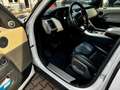 Land Rover Range Rover Sport HSE Pano AHK 4xSihz Kam Memory Weiß - thumbnail 7