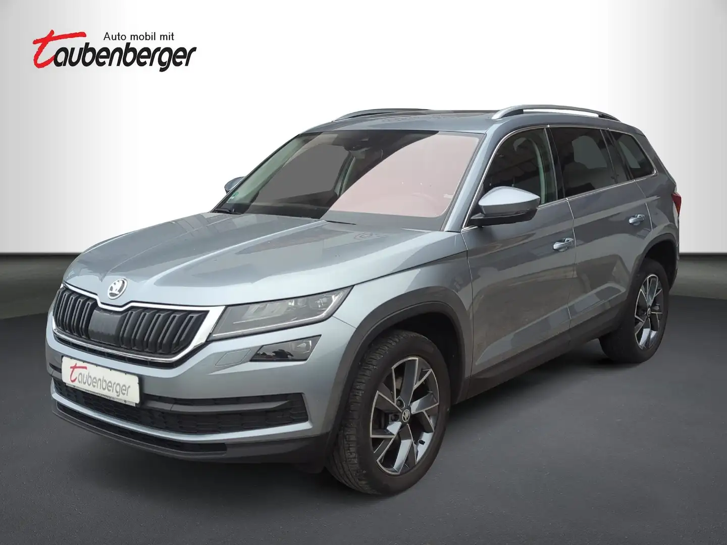 Skoda Kodiaq 2.0 TSI DSG Style 4x4 *Columb.,ACC,Leder* Grau - 1
