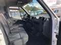 Renault Master T35 2.3 dCi L3H2 THERMOKING Wit - thumbnail 12