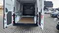 Volkswagen Crafter VW Crafter 35 T6 Kastenwagen L3H3 TDI Weiß - thumbnail 3