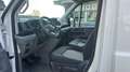 Volkswagen Crafter VW Crafter 35 T6 Kastenwagen L3H3 TDI Weiß - thumbnail 4