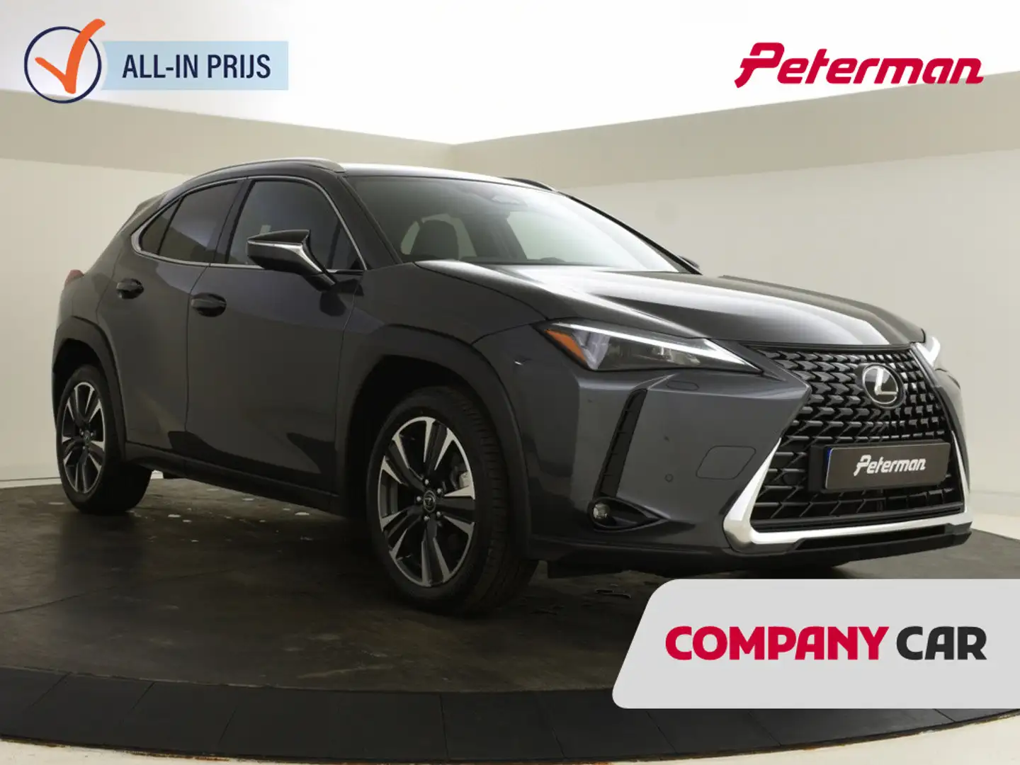 Lexus UX 300h Business Line | Blindspot | Parkeersensoren V+A Gris - 1