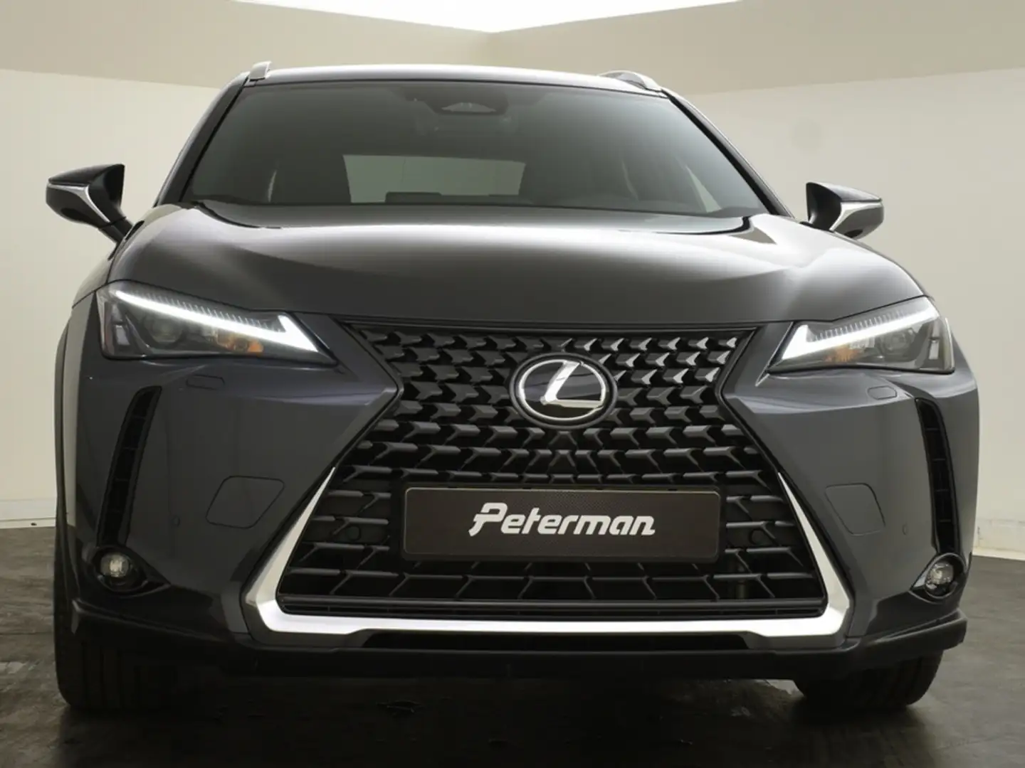 Lexus UX 300h Business Line | Blindspot | Parkeersensoren V+A Gris - 2