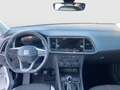 SEAT Ateca Reference Edition 1.0 TSI Weiß - thumbnail 10