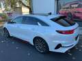 Kia ProCeed / pro_cee'd ProCeed GT PANO JBL ACC CAM ASSIST 4xStzh NAVI Weiß - thumbnail 7