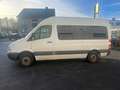 Mercedes-Benz Sprinter 311 CDI*Rollstuhl*E-Rampe*8Sitze*Flexi* Weiß - thumbnail 6