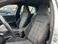 Volkswagen Golf VIII 2.0 TSI GTI Matrix 19'' CarPlay Weiß - thumbnail 16