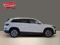 Skoda Kodiaq 2.0 TDI Style 4x4 DSG Leder Navi ACC Met. Klimaa. Weiß - thumbnail 9