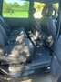 SEAT Alhambra Reference Schwarz - thumbnail 8