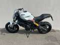 Ducati Monster 797 Bianco - thumbnail 3