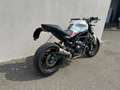 Ducati Monster 797 Bianco - thumbnail 5