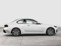 BMW 220 d 18" DA HiFi DAB LiCoPro Carplay Blanc - thumbnail 9