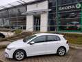 Volkswagen Golf Golf VIII 2020 1.5 tsi evo Life 130cv Bianco - thumbnail 1
