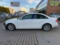 Audi A4 Lim. Ambition quattro 3.0TDI  S LINE Bianco - thumbnail 6