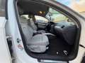 Audi A4 Lim. Ambition quattro 3.0TDI  S LINE Bianco - thumbnail 14