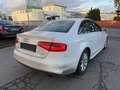 Audi A4 Lim. Ambition quattro 3.0TDI  S LINE Bianco - thumbnail 5