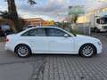 Audi A4 Lim. Ambition quattro 3.0TDI  S LINE Bianco - thumbnail 4