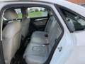 Audi A4 Lim. Ambition quattro 3.0TDI  S LINE Wit - thumbnail 17