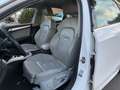 Audi A4 Lim. Ambition quattro 3.0TDI  S LINE Bianco - thumbnail 13