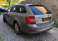 Skoda Octavia Estate car 1.6 Beige - thumbnail 3