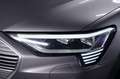 Audi e-tron 95 kWh 55 Quattro Sportback*Wärmepumpe*C Gris - thumbnail 2