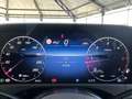 Mercedes-Benz E 220 E 220 d T Avantgarde DISTRONIC+PANORAMA+AHK Autom. Gris - thumbnail 22