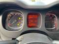 Fiat Panda Panda III 2021 1.2 easypower City Life Gpl s Grigio - thumbnail 14