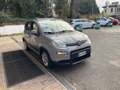 Fiat Panda Panda III 2021 1.2 easypower City Life Gpl s Grigio - thumbnail 5
