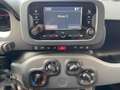 Fiat Panda Panda III 2021 1.2 easypower City Life Gpl s Grigio - thumbnail 15
