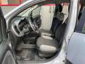 Fiat Panda Panda III 2021 1.2 easypower City Life Gpl s Grigio - thumbnail 12