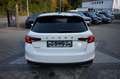 Skoda Fabia 1.0 TSI 5JGA+LED+VC+PDC+MULTI+SHZ+TEMPO Blanc - thumbnail 3