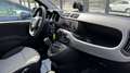 Fiat Panda Fiat Panda III serie 1.2 Lounge benzina 69cv Grigio - thumbnail 13