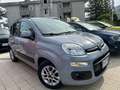 Fiat Panda Fiat Panda III serie 1.2 Lounge benzina 69cv Grigio - thumbnail 1